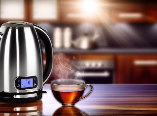 best electric kettle temperature control india